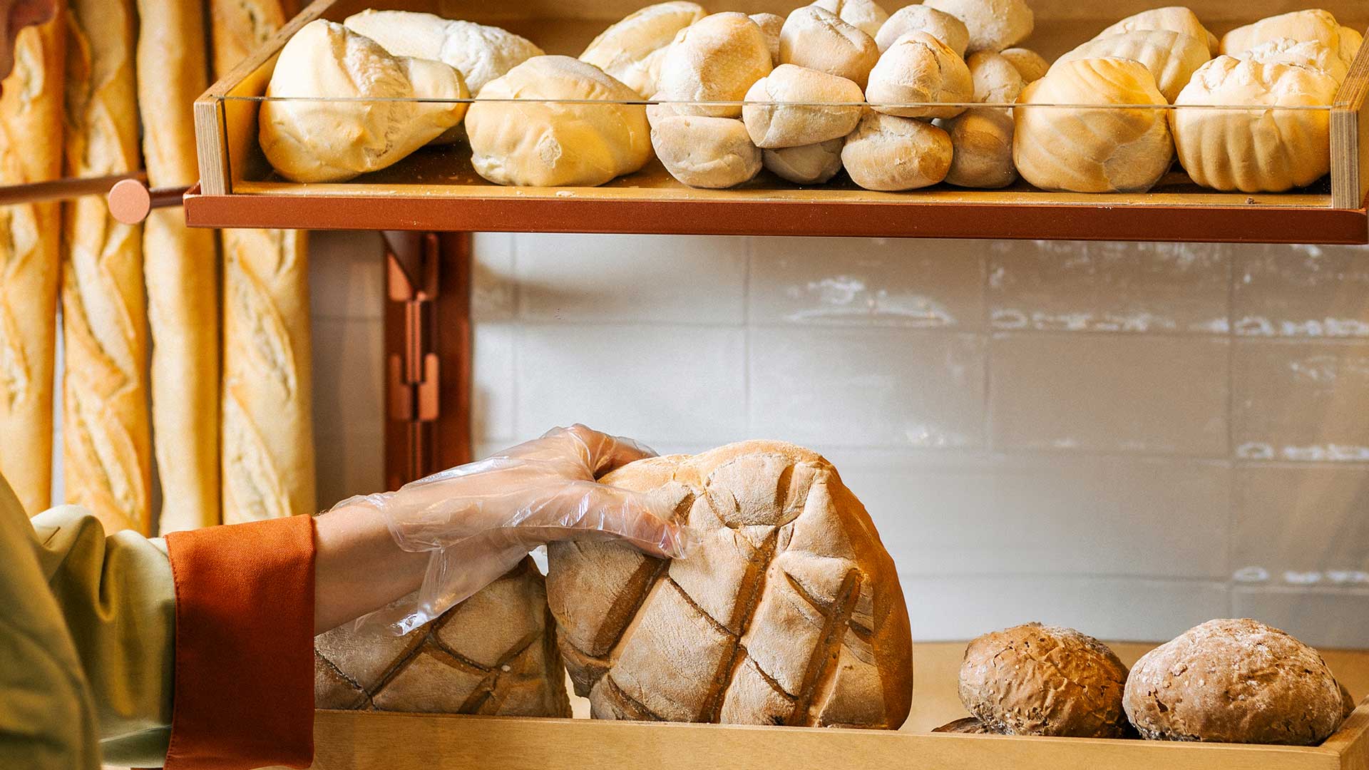 Amletina azienda bakery panetteria