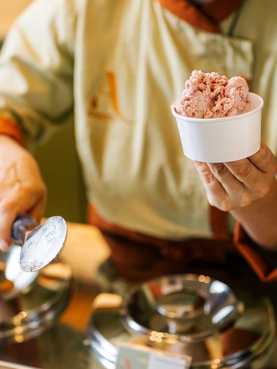 Amletina prodotti coppette